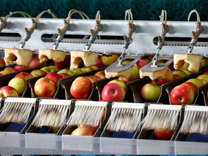 Lebensmittelindustrie